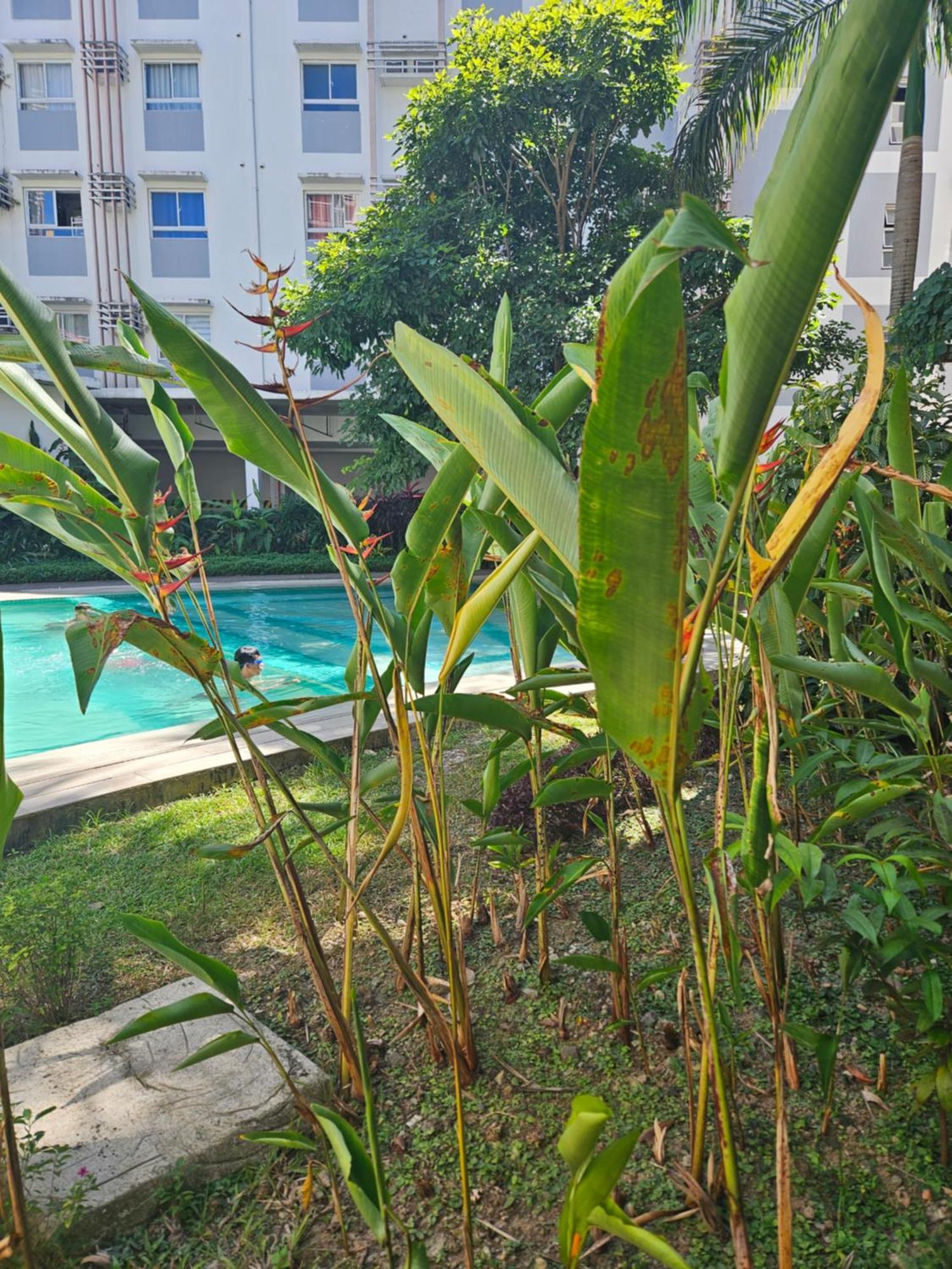 2-Bedroom Boutique City Condo - Newly Renovated! Cebu Stadt Exterior foto