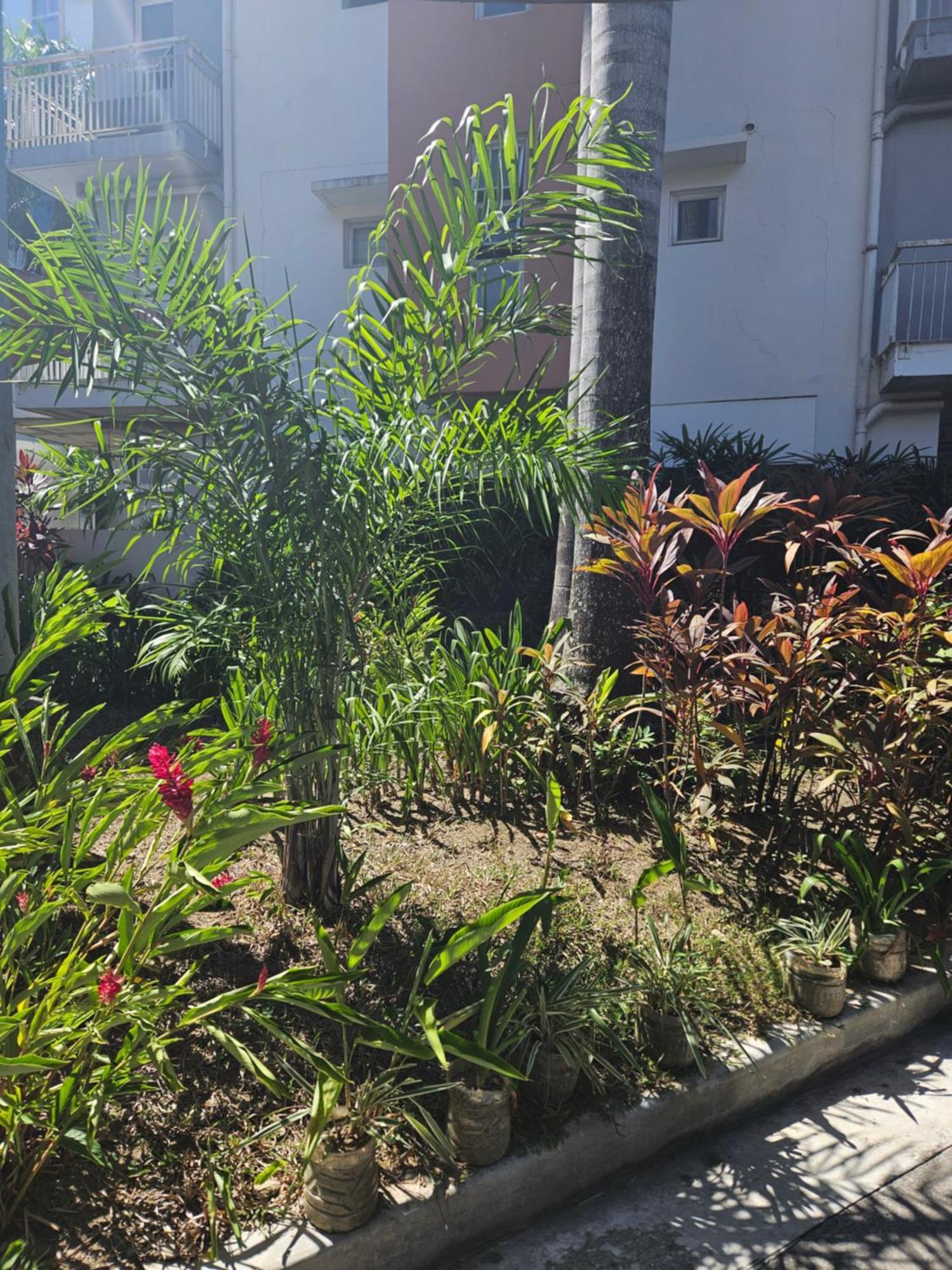 2-Bedroom Boutique City Condo - Newly Renovated! Cebu Stadt Exterior foto